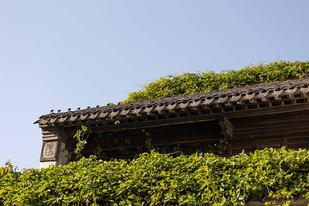 Traditional Chinese Roof Architecture against Blue Sky
