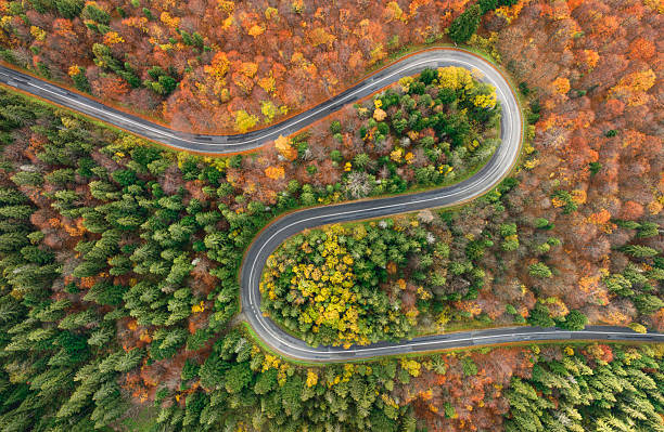 istock Winding road between the autumn forest - aerial view 2210968138
