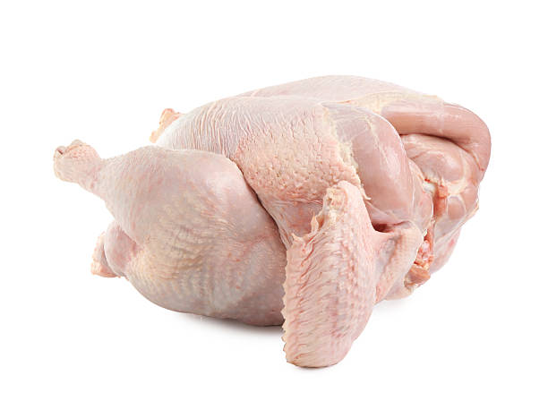 istock One whole raw turkey isolated on white 2210968270