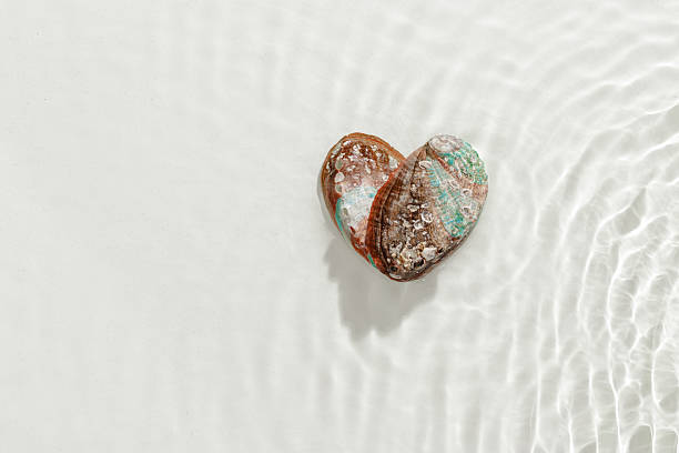 istock Colored abalone shells with pearlescent colors at seawater waves summer background at sunlight, gentle ripples and peaceful, oceanic scene. Seashells heart shaped, concept life, relaxation, travel 2210969352