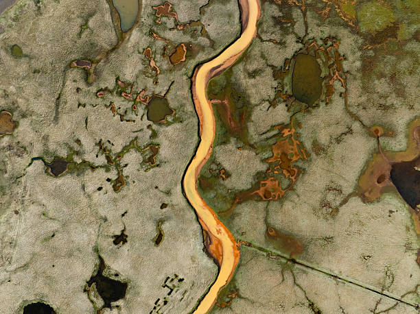 Top-down view of a winding yellow river cutting through a textured marshland with scattered ponds and rich green, orange, and brown patches.