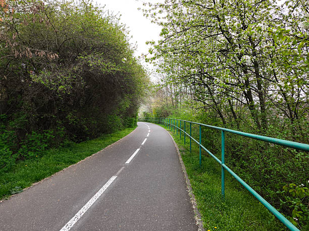 Rear view on two cyclists cycling on treelined footpath through forest. Location: Gelderland, The Netherlands