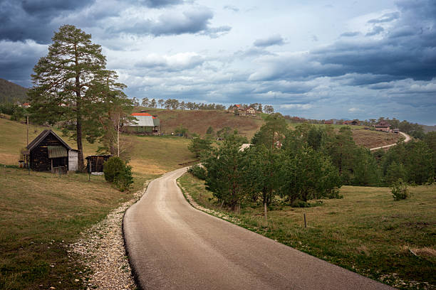 Mountain road, nature of Zlatibor in Serbia, beginning of spring on a cloudy day.
