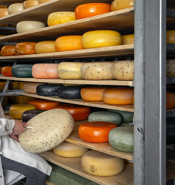 istock Cheese warehouse. Testing cheese. Getting a sample of cheese to check the quality 2210978410