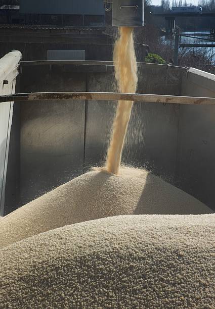 istock Storage in warehouse of fertilizer. 2210979161