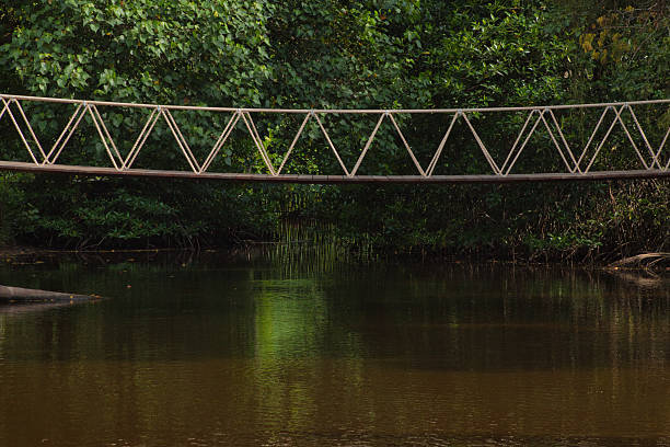 The path is a rope bridge, with a pond below and a forest behind