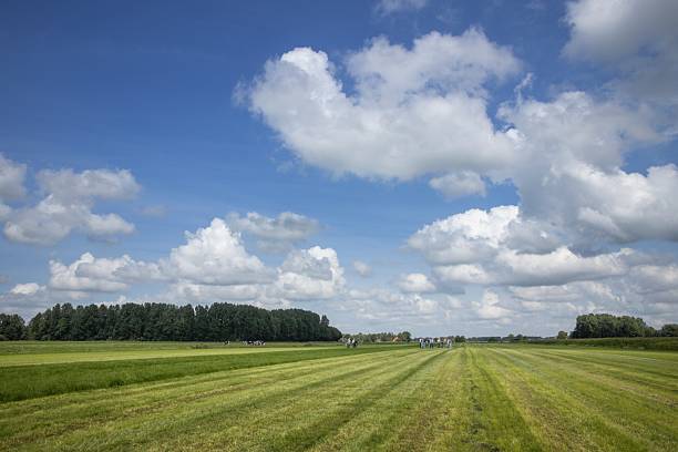 istock Fresh summer landscape with meadows and clouds 2210979668