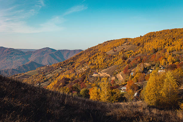 istock Mountain forest in autumn colors 2210983557