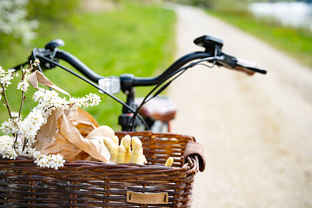 istock Saisonal white asparagus and flowers in bicycle basket 2210989237