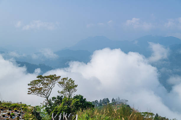 Step into a dreamlike realm where mist dances over the mountains of Chiayi County, Taiwan. This spring afternoon scene captures the ethereal beauty and tranquil essence of nature's embrace.