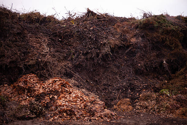 istock Green Waste Recycling 2210990707