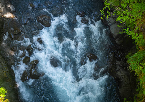 Hoh River Rushes Through A Narrow Canyon