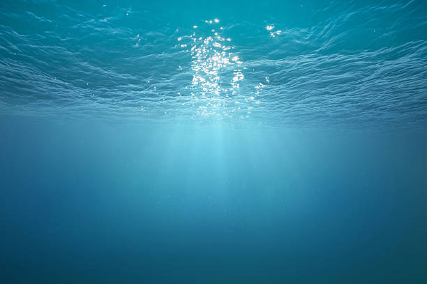 istock Wavy blue sea underwater with sunbeam and ripples. 2210995646
