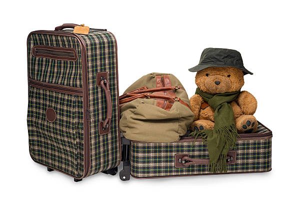 Two suitcases, a handbag and a teddy bear with hat. Isolated