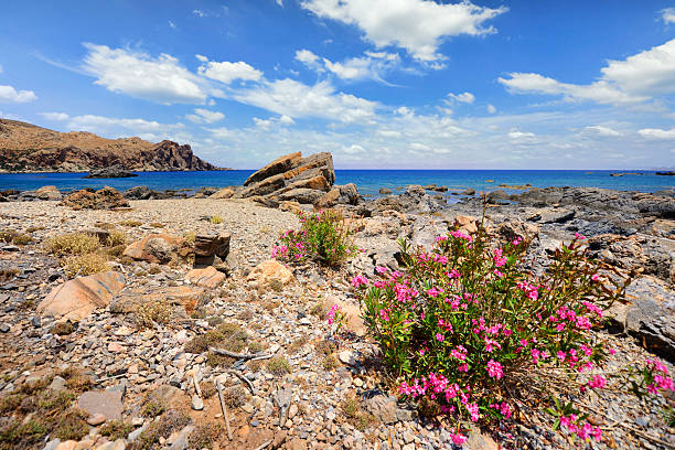 istock Beautiful mediterranean landscape with sea and blue sky 2210996253