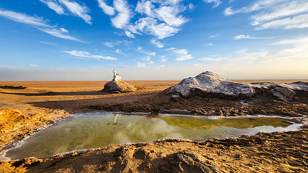 Salt water between a Kebili and Tozeur