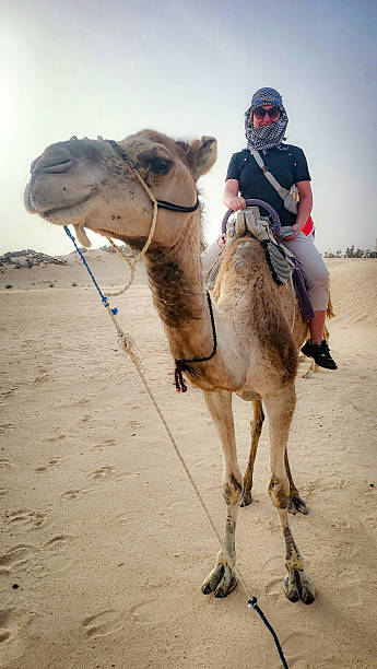 istock Camel ride girl 2210997494