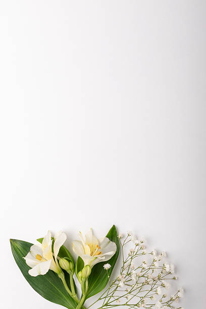 istock Spring mock up with flowers on white background. Minimal concept. 2210997724