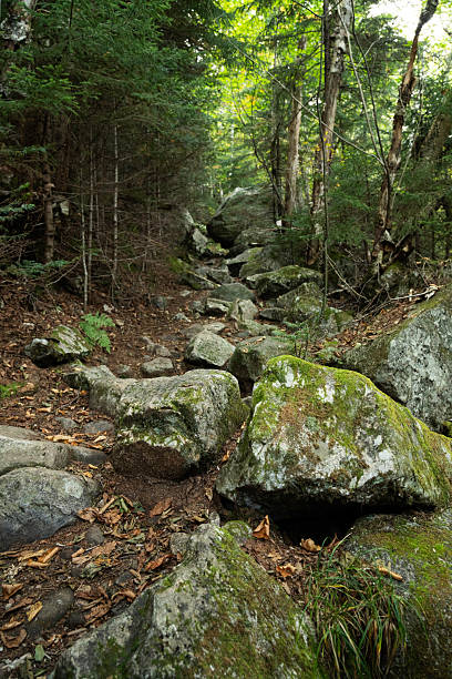 istock To Greenleaf Hut, Mt Lafayette, NH 2210998494