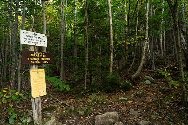 istock Greenleaf Trail to hut on Mt Lafayette, NH 2210998498