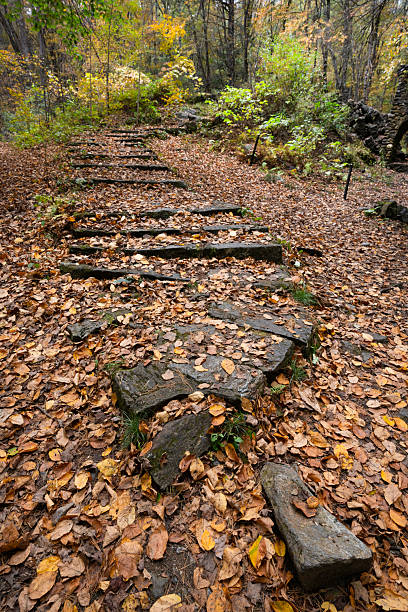 Stone stairs in a forest, Madame Sherri Forest, Chesterfield, NH, USA