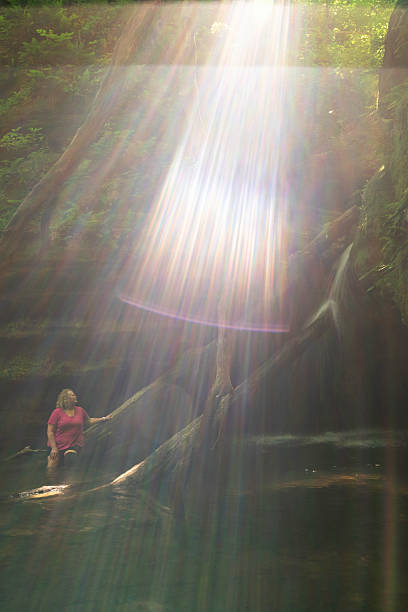 istock Hiker on trail, Starved Rock, IL 2210998577