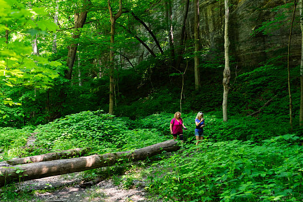istock Hiker on trail, Starved Rock, IL 2210998586
