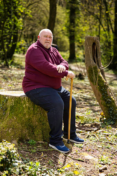 istock Overweight man with a walking stick resting on a fallen tree 2210999677