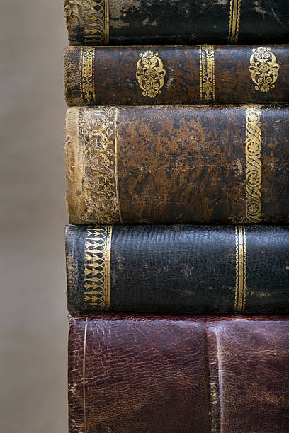 istock The Wisdom of Books 2211000589