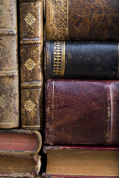 istock The Wisdom of Books 2211000604