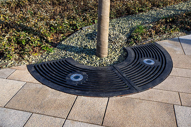 istock Semi-circular metal grating provides protection for tree roots. Stone mulch retains moisture. Light bulbs in grates for nighttime illumination. Aesthetic functionality in modern urban landscapes 2211001640