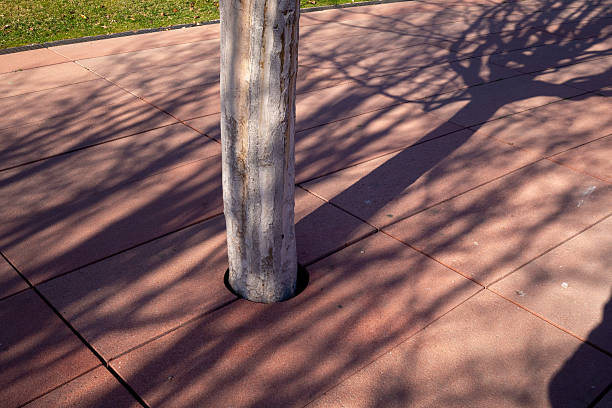 Tree integrated into red concrete paving with a precise circular cutout. Neatly aligned tree trunk surrounded by colored pavement. Natural growth in designed public space.