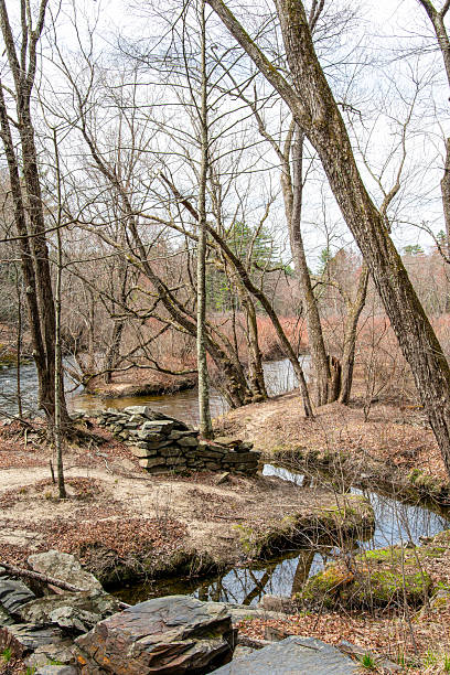 istock view of a forme mill in cook conservation area 2211001845