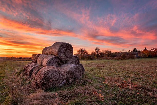 Beautiful sunrise over the fields at countryside