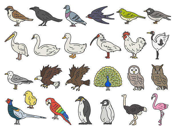70+ Nipponia Nippon Stock Illustrations, Royalty-Free Vector