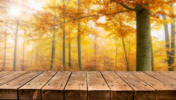 istock Empty old wooden table background - autumn background 2211005527