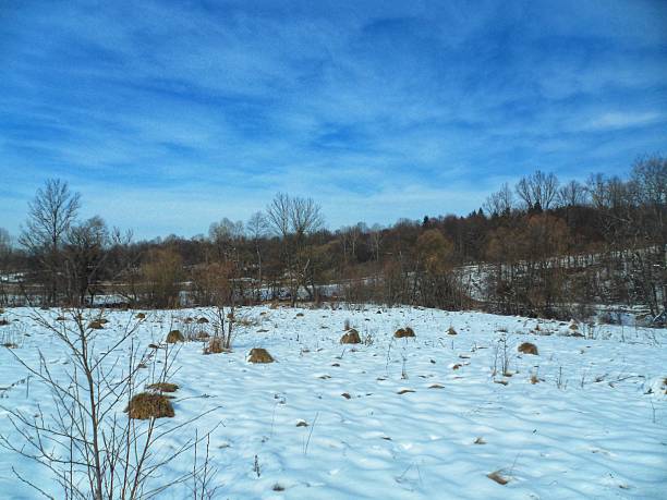 istock Beautiful Winter Meadow in Wilderness 2211006038