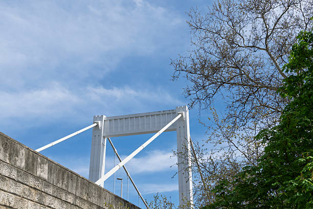 The Elizabeth Bridge over the Danube River in Budapest.