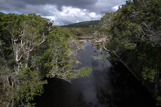 istock The landscape of the Bolivar State. 2211007749