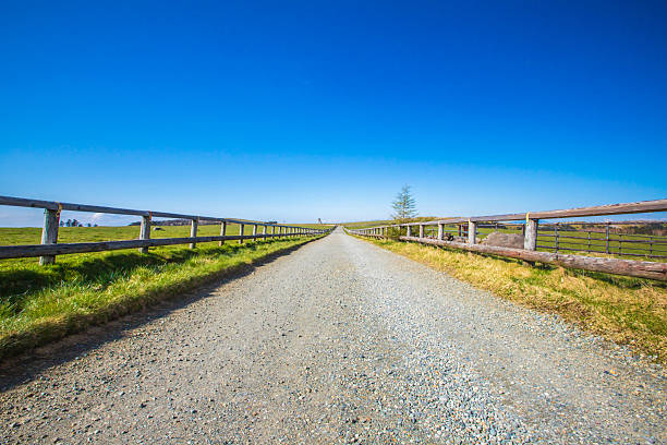 istock Nagano Prefecture Utsukushigahara Highlands Trekking 2211010565
