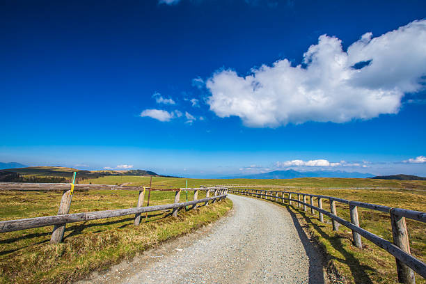 istock Nagano Prefecture Utsukushigahara Highlands Trekking 2211011152