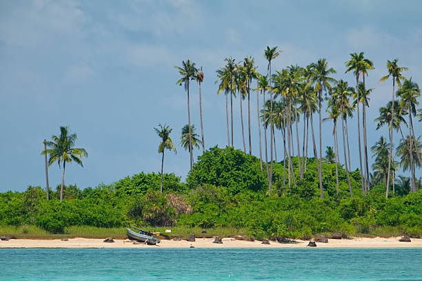 istock Palm Islands of coral reefs 2211011191