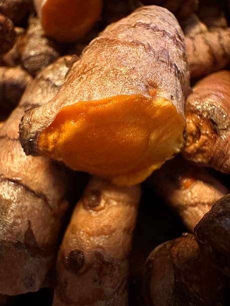 istock Macro of fresh turmeric root with texture 2211019115