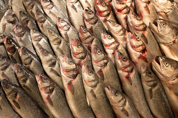 istock Fresh Fish Lying in a Row at the Market 2211024975