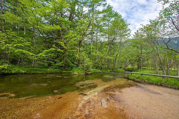 istock Fresh greenery in Kamikochi, Nagano Prefecture 2211028088