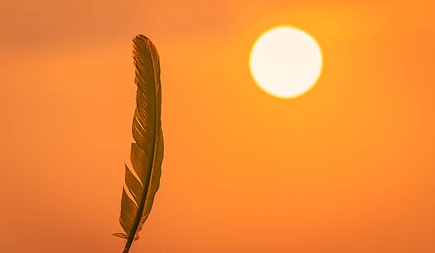 istock Hand Holding Feather Against a Vibrant Sunset – Goa, India 2211028435
