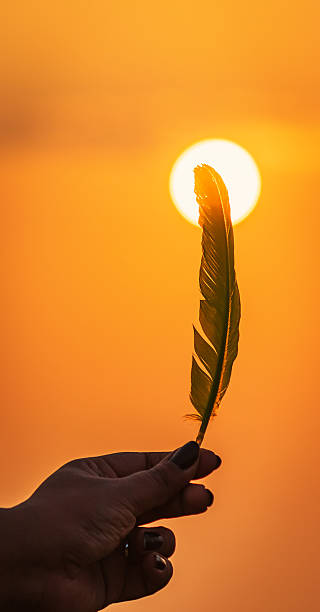 istock Hand Holding Feather Against a Vibrant Sunset – Goa, India 2211028447