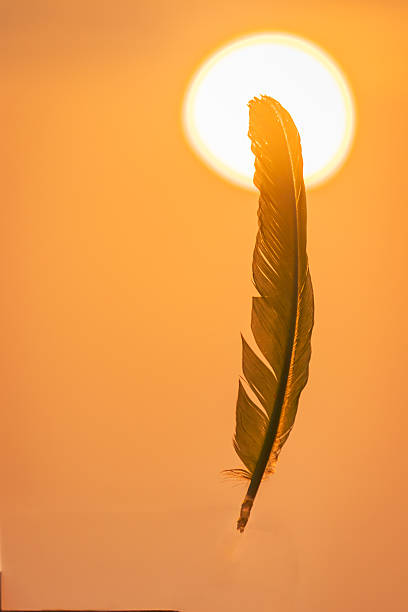 istock Hand Holding Feather Against a Vibrant Sunset – Goa, India 2211028458