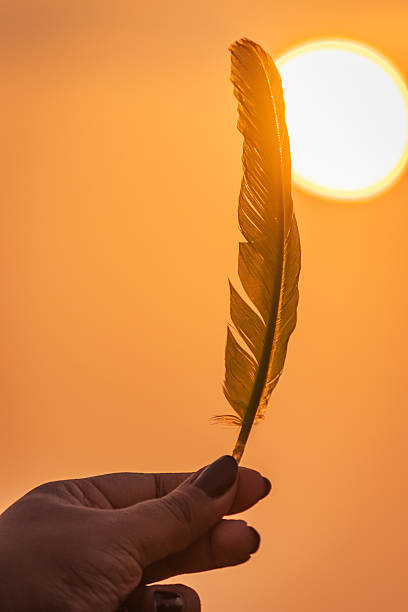 istock Hand Holding Feather Against a Vibrant Sunset – Goa, India 2211028465