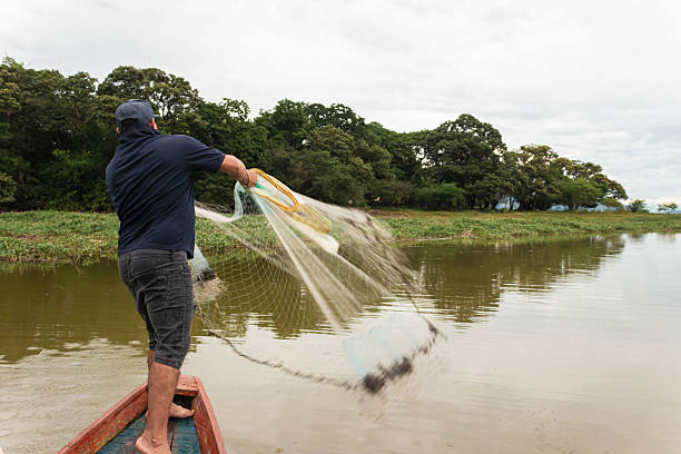 Vietnamese man catching fishes in Thu Bon River near Hoi An, central Vietnam. Hoi An is situated on the east coast of Vietnam. Its old town is a UNESCO World Heritage Site because of its historical buildings.
